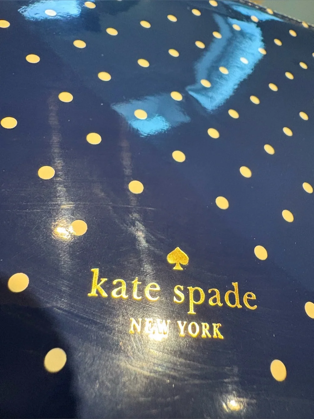 Kate Spade Navy Larabee Dot Pen & Pencil Pouch